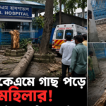 এআই চিত্র
