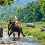 resizeplus_ChatGPT Image Sep 15, 2026, 12_38_20 AM