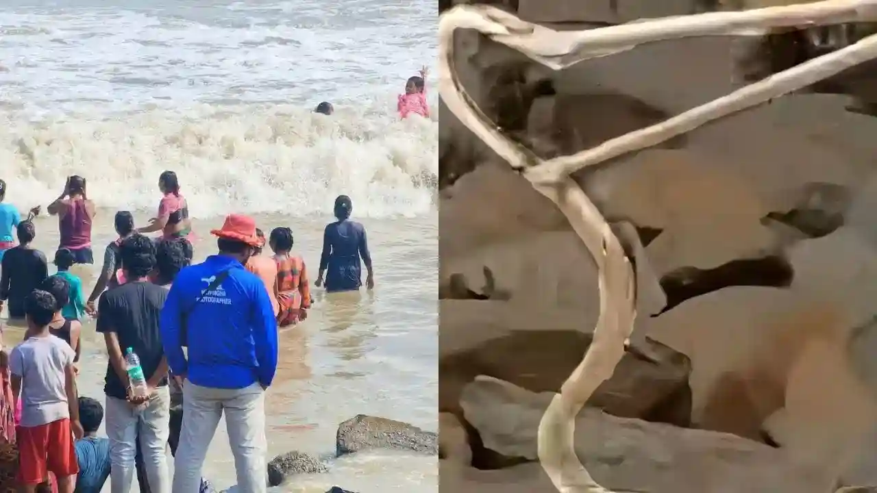resizeplus_Digha-25