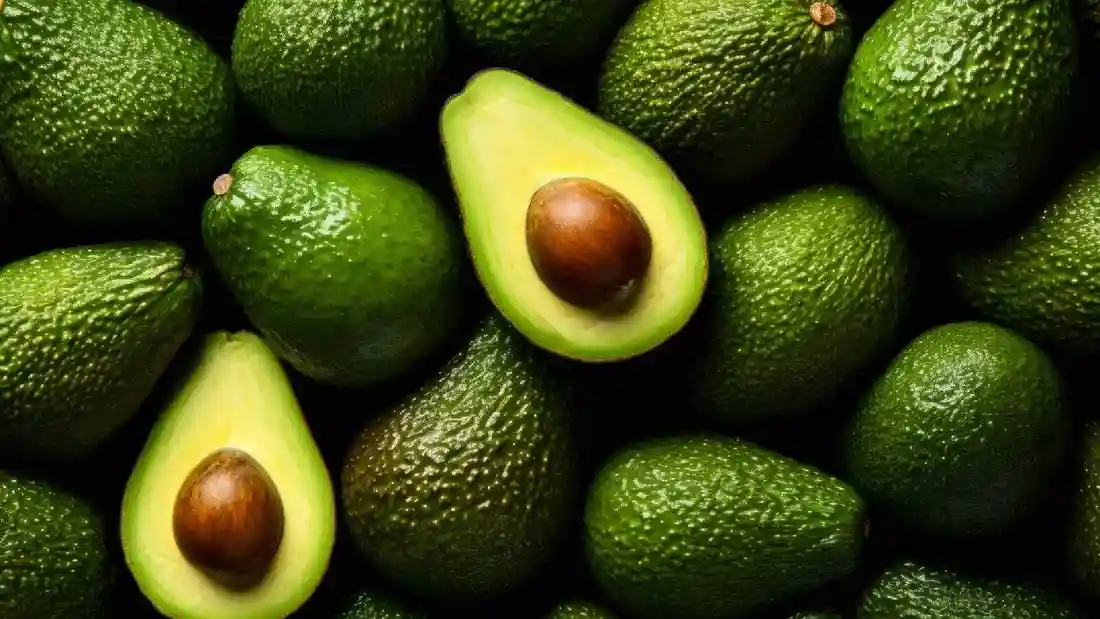 resizeplus_avocado-1_335cdafd-3f2d-4de4-a016-37f8476e6ecf-1508942