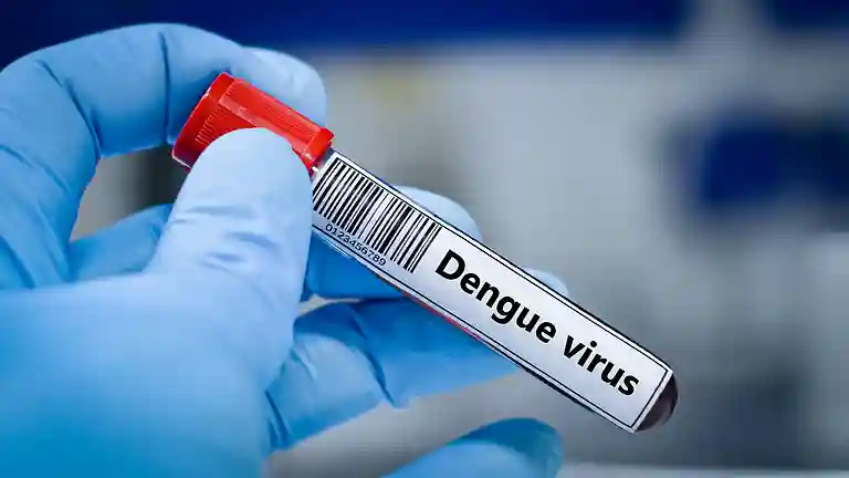 resizeplus_eisamay_2026-08-31_viohvxxx_Dengue-Awareness
