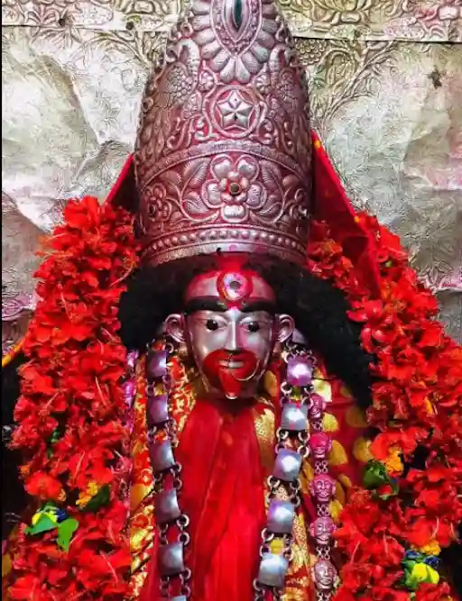 resizeplus_tarapith0 (1)