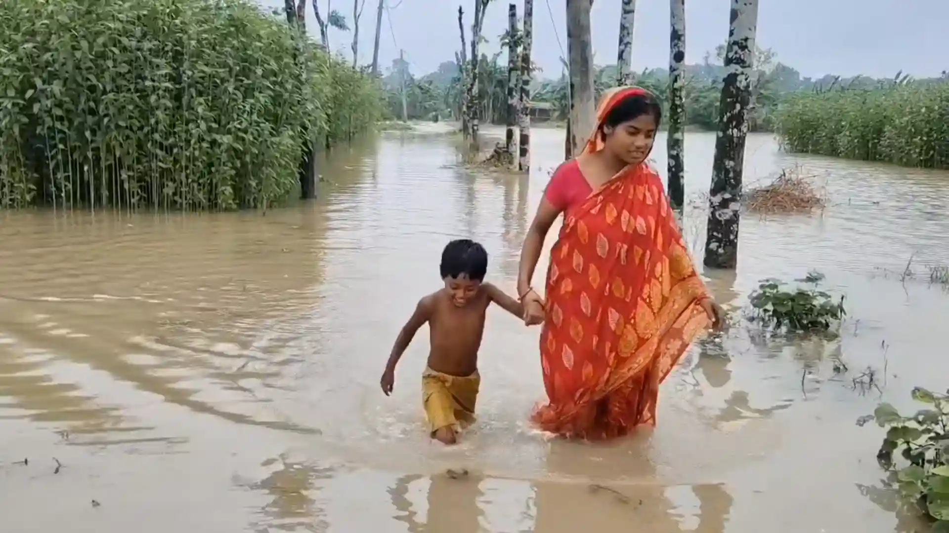 resizeplus_wb-bsh-baduria-rain-crop-damage-wb10052_11072026103423_1107f_1783746263_650