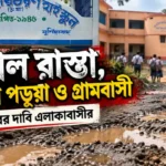 resizeplus_নিউটাউনের (6)