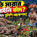 ব্যাংকের লকারও (33)